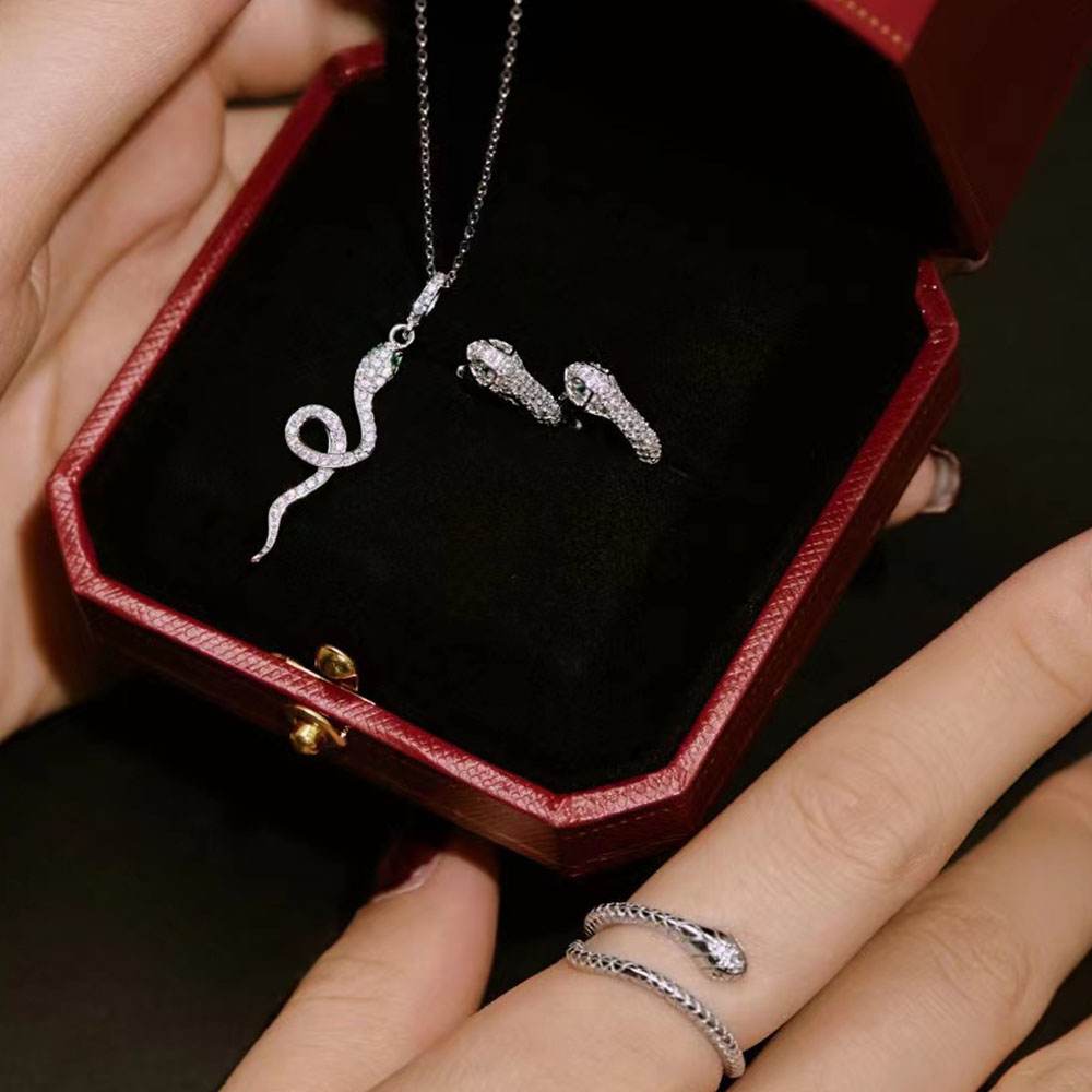 Snake Sterling Silver Jewelry Set+Gift Box